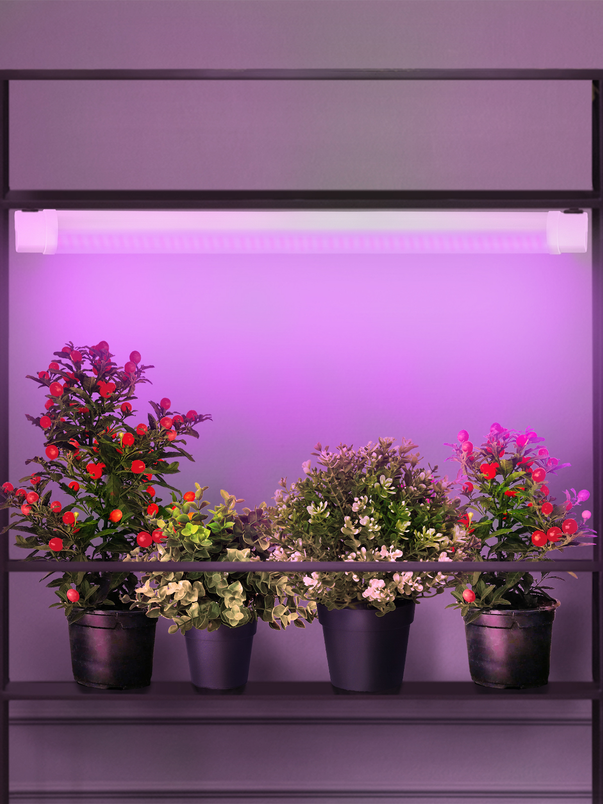 Светильник для растений, фитолампа светодиодная линейная ЭРА FITO-24W-RB-N красно-синего спектра 24 Вт