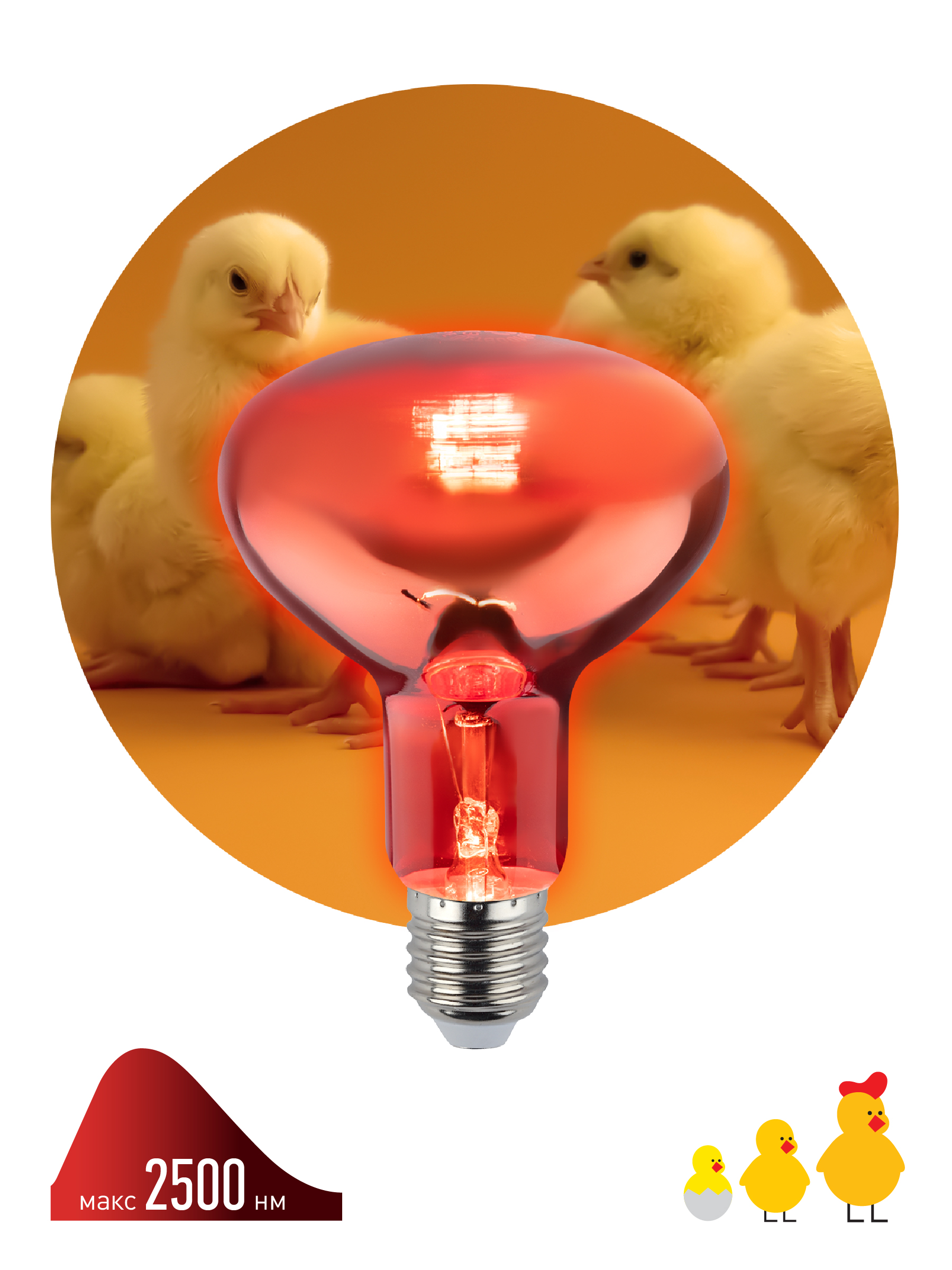 Инфракрасная лампа ЭРА ИКЗК 230-100 R95 E27 E27 для обогрева животных и освещения 100 Вт