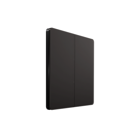 Systeme Electric Systeme Infinity Полярная ночь Выключатель/Переключатель 2-клавишный, 10А