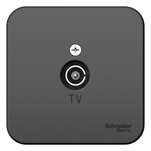 SE Blanca наруж Антрацит Розетка TV, изолир. пластина