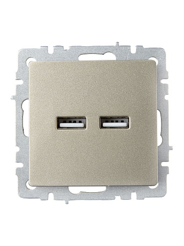 IEK BRITE Роз. USB A+A 3,1А РЮ10-1-БрШ шамп.