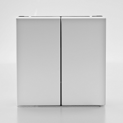 Systeme Electric ArtGallery Лотос Выключатель 2-клавишный кнопочный, 10АХ, механизм, быстрозажим. клем.