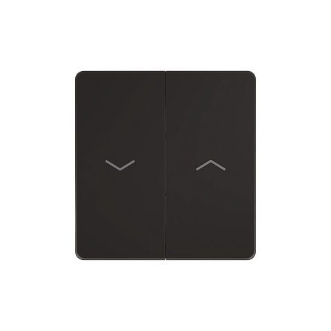 Systeme Electric Systeme Infinity Полярная ночь Выключатель для жалюзи, 10А