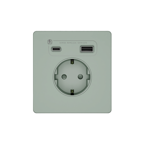 Systeme Electric Systeme Infinity Таежное утро Розетка с заземлением со шт. с USB А+С 20Вт