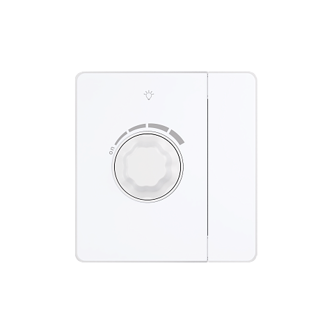 Systeme Electric Systeme Infinity Арктический лед Светорегулятор TRIAC c выключателем 300Вт