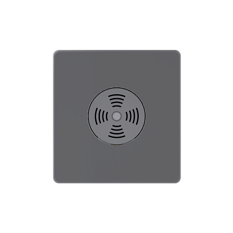Systeme Electric Systeme Infinity Вулканический пепел Выключатель звуковой 100Вт с выдержкой времени