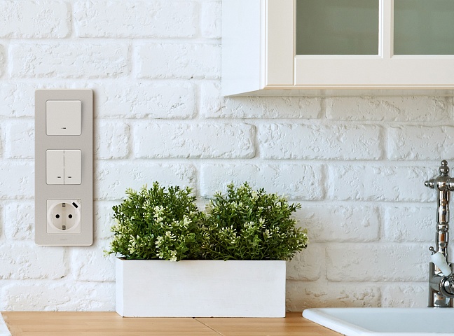 Legrand INSPIRIA Слоновая кость Розетка 2К+З немецкий стандарт 16А 250В со встроенным зарядным устройством USB C 1.5А 5В