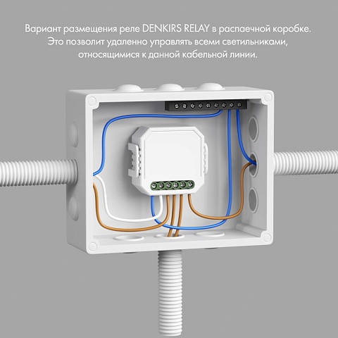 Denkirs RL1003-DM/1 Одноканальное Wi-Fi реле-диммер 1 x 150 Вт