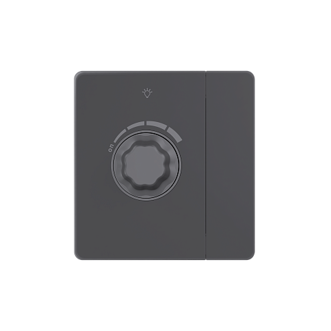 Systeme Electric Systeme Infinity Вулканический пепел Светорегулятор TRIAC c выключателем 300Вт
