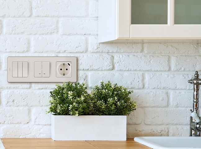 Legrand INSPIRIA Слоновая кость Розетка 2К+З немецкий стандарт 16А 250В со встроенным зарядным устройством USB C 1.5А 5В