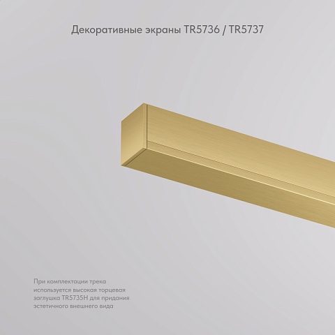 Denkirs TR5736-SB Декоративная заглушка желоба трека, 20см, для трека SHINE BASE, сатинированная латунь, алюминий