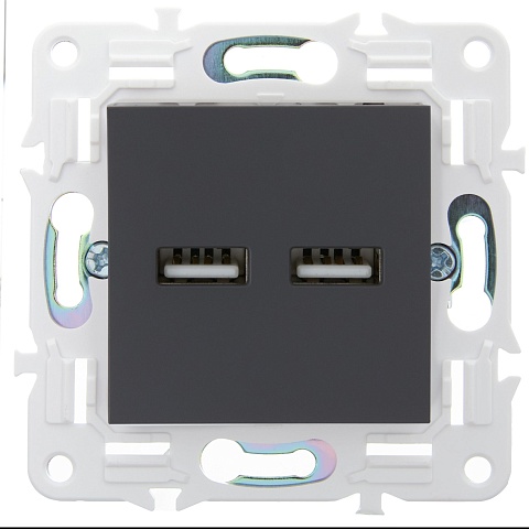 IEK SKANDY Титан Розетка USB A+A 3,1А SK-R15T