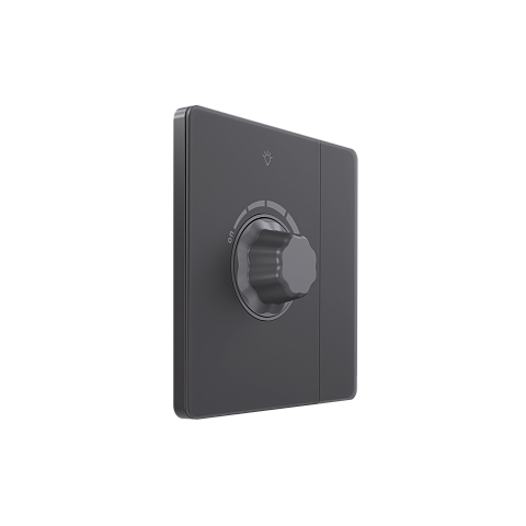 Systeme Electric Systeme Infinity Вулканический пепел Светорегулятор TRIAC c выключателем 300Вт