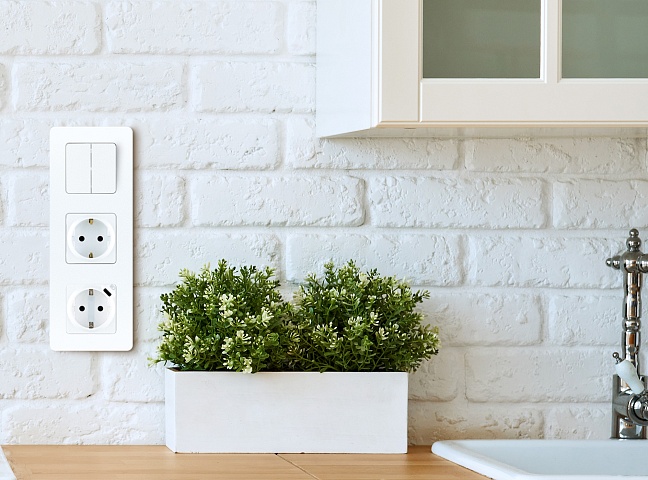Legrand INSPIRIA Белый Розетка 2К+З немецкий стандарт 16А 250В со встроенным зарядным устройством USB C 1.5А 5В