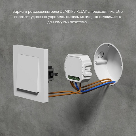Denkirs RL1003-DM/1 Одноканальное Wi-Fi реле-диммер 1 x 150 Вт