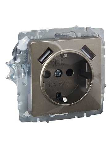 IEK BRITE Роз. с з/к/ш 16А с USB A+A 3,1А РЮш10-2-БрШ шамп.