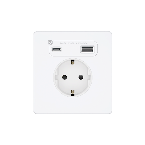 Systeme Electric Systeme Infinity Арктический лед Розетка с заземлением со шт. с USB А+С 20Вт