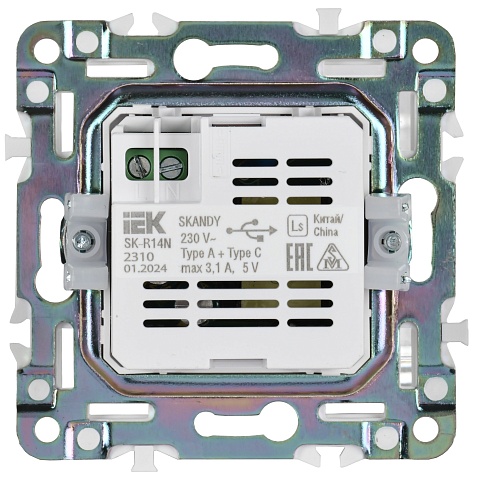 IEK SKANDY Никель Розетка USB A+C 3,1А SK-R14N
