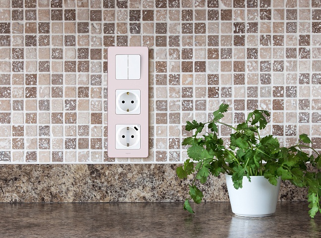 Legrand INSPIRIA Белый Розетка 2К+З немецкий стандарт 16А 250В со встроенным зарядным устройством USB C 1.5А 5В