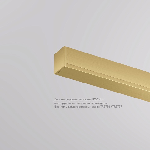 Denkirs TR5735H-SB Торцевая заглушка, высокая, для использования с экраном, для трека Shine, серия Base, комплект 2 шт, сатинированная латунь, алюмини