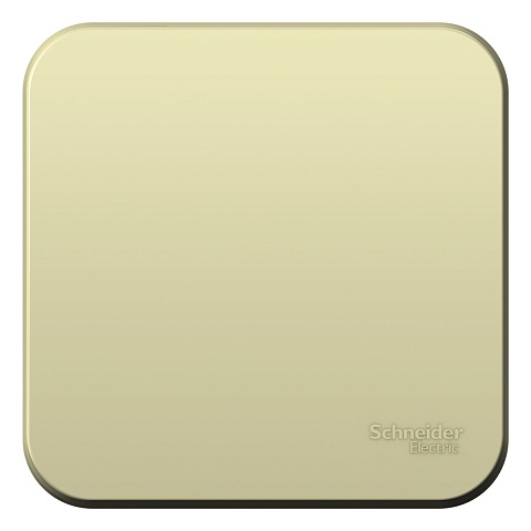 SE Blanca наруж Беж Переключатель 1-клавишный (cх.6) изолир. пластина 10А, 250B