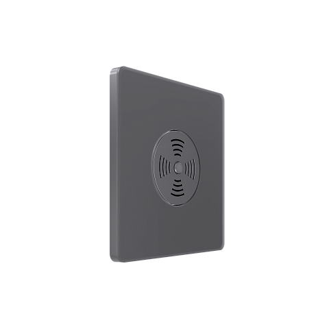 Systeme Electric Systeme Infinity Вулканический пепел Выключатель звуковой 100Вт с выдержкой времени