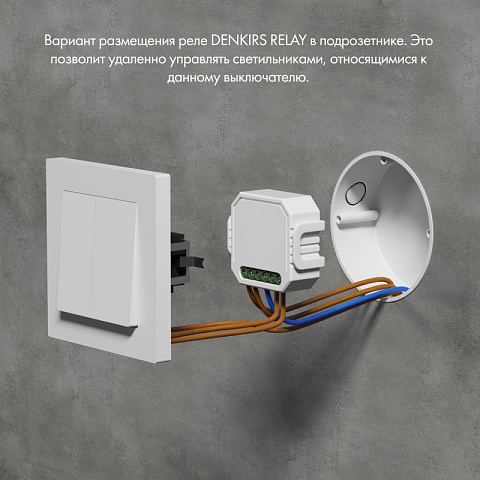 Denkirs RL1004-DM/1 Двухканальное Wi-Fi реле-диммер 2 x 100 Вт