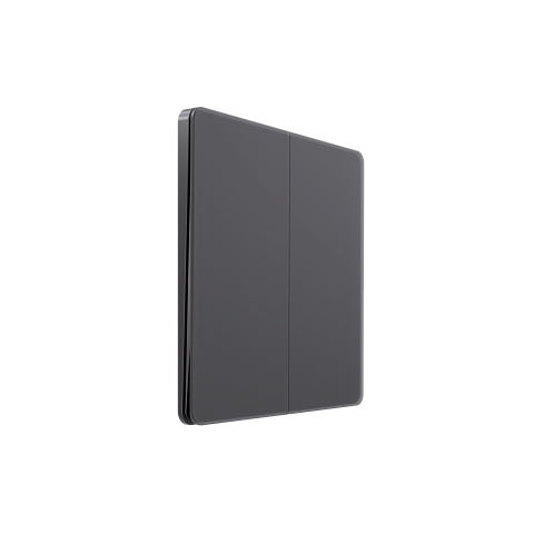 Systeme Electric Systeme Infinity Вулканический пепел Выключатель/Переключатель 2-клавишный, 10А