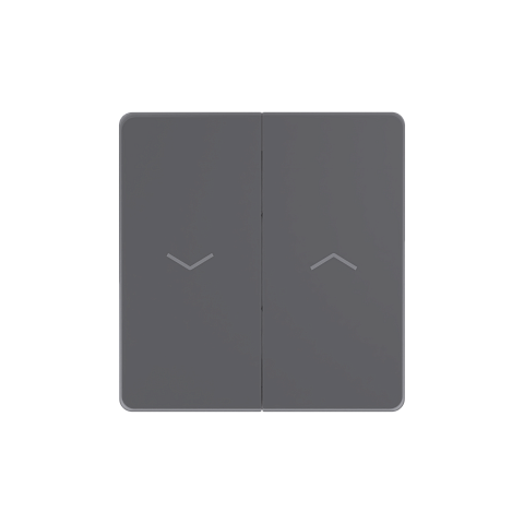 Systeme Electric Systeme Infinity Вулканический пепел Выключатель для жалюзи, 10А