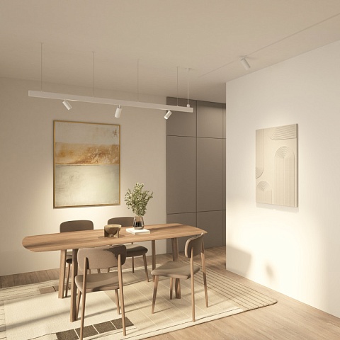 Denkirs DK8120-WH Трековый акцентный светильник SIMPLE SPOT