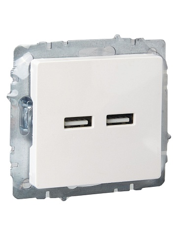 IEK BRITE Роз. USB A+A 3,1А РЮ10-1-БрЖ жемч.